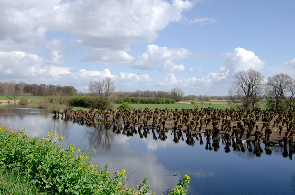 -s- Robert Pol – Rijswaard